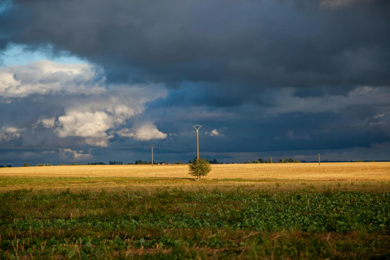 a field with a lone tree in the middle of it, inspired by Jan Rustem, unsplash contest winner, midwest town, stormclouds, russian landscape, power lines