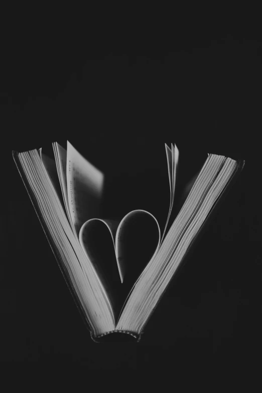 a book with pages folded in the shape of a heart, a black and white photo, by Pamphilus, pexels contest winner, dark vibes, 15081959 21121991 01012000 4k, back, arcane books