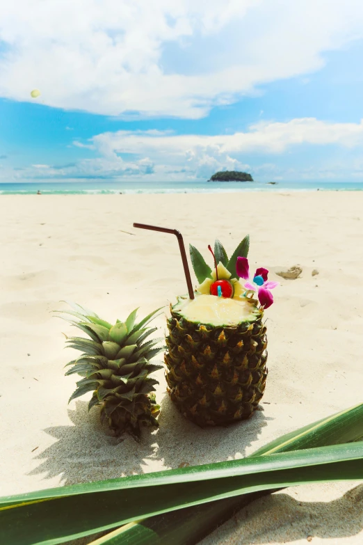 a couple of pineapples sitting on top of a sandy beach, holding a drink, thawan duchanee, square, many islands