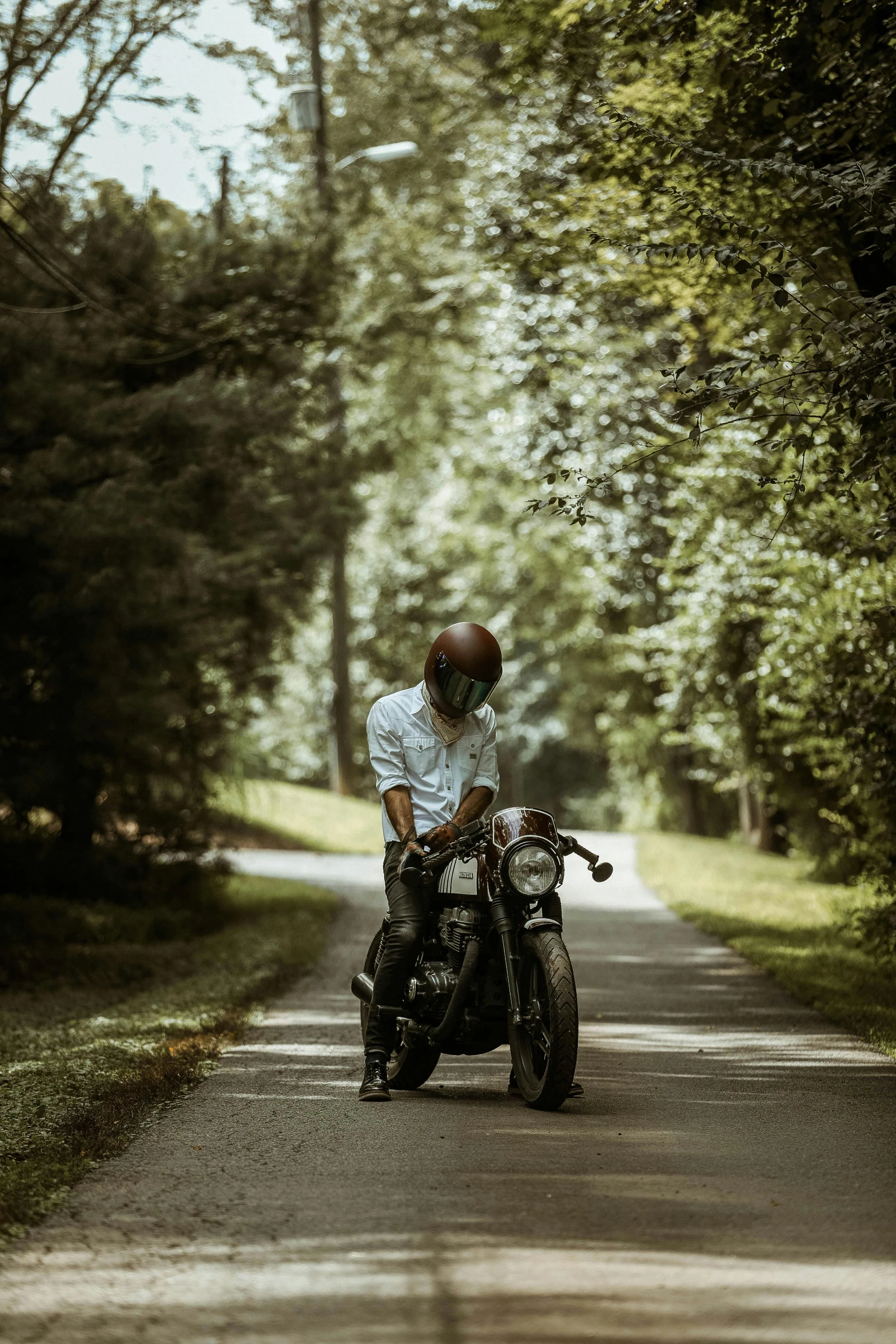 a man riding on the back of a motorcycle down a road, pexels contest winner, in beautiful woods, classic portrait, green, cafe racer