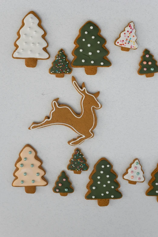 a number of decorated cookies on a white surface, inspired by Rudolph F. Ingerle, leaping from babaob tree, detailed product image, ginger, winter forest