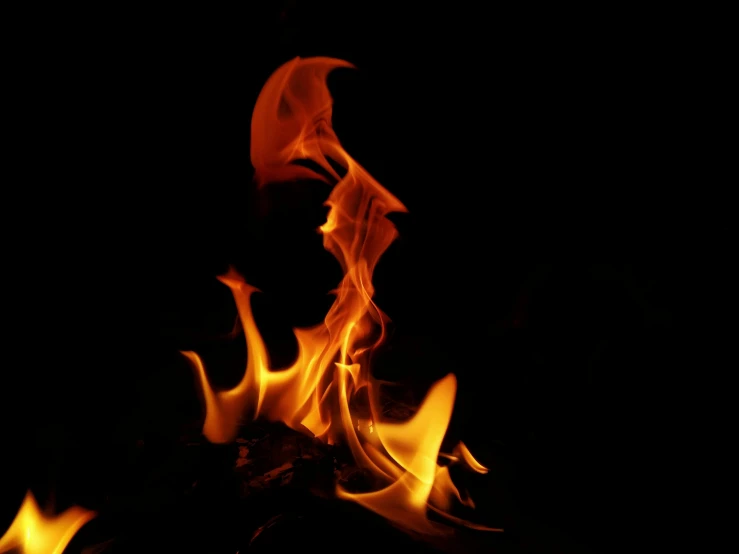 a close up of a fire in the dark, a picture, by Jan Rustem, figuration libre, profile image, fireflys, firenado, portrait image