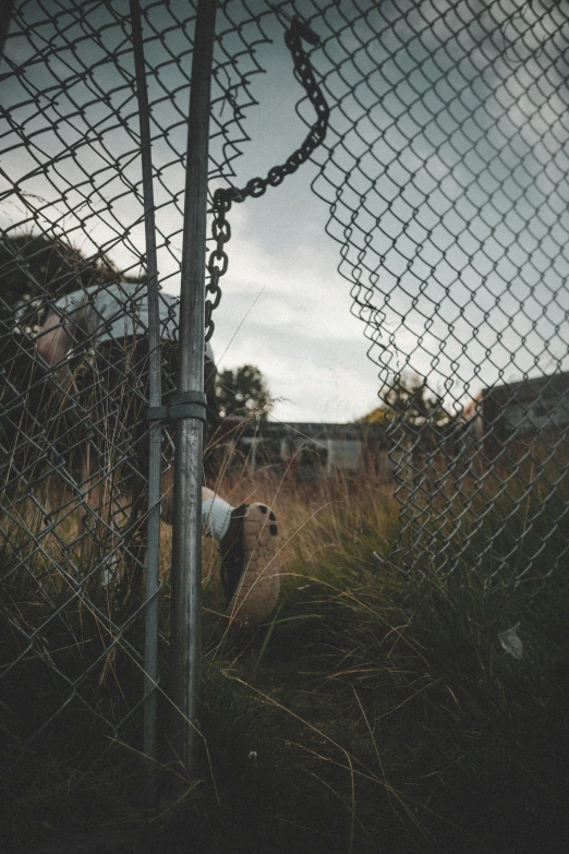 a black and white photo of a chain link fence, a picture, unsplash, happening, a person with a raccoon head, with stray dogs, todd hido photography, overgrown