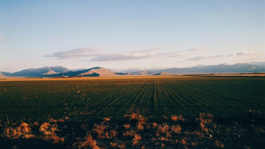 a large open field with mountains in the background, by Jessie Algie, unsplash contest winner, new zeeland, late afternoon, farmland, multiple stories
