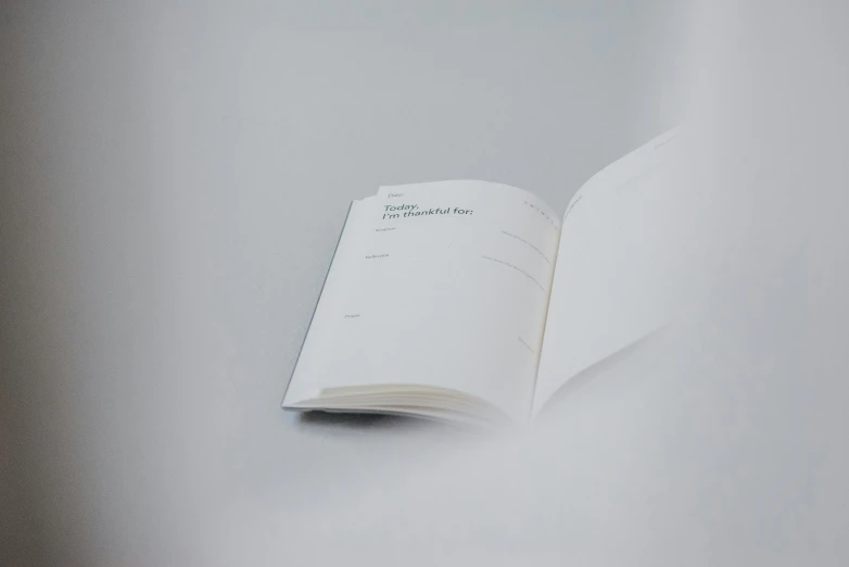 an open book sitting on top of a table, in a white room, notebook, official documentation, made of silk paper