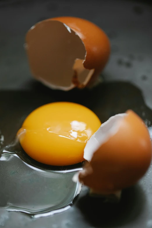 a broken egg sitting on top of a frying pan, a picture, trending on unsplash, paul barson, freckles on chicks, scientific photo, photograph credit: ap