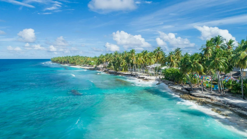 a beach lined with palm trees next to the ocean, pexels contest winner, island in a blue sea, boroque, turquoise, drone footage