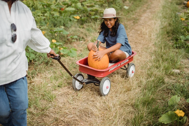 a little girl pulling a wagon with a pumpkin in it, inspired by Kate Greenaway, pexels, process art, full product shot, high angle shot, speeder, riyahd cassiem