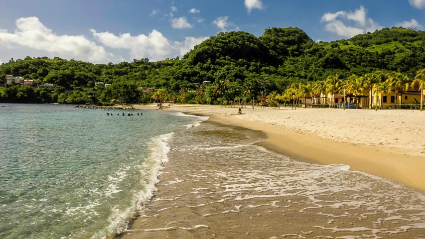 a sandy beach with palm trees in the background, a photo, beach is between the two valleys, caribbean, profile image