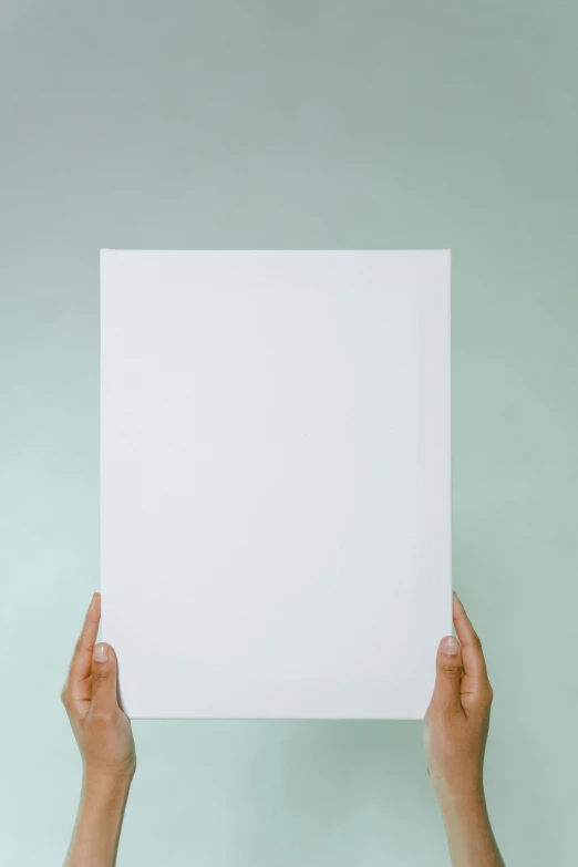 a person holding up a white sheet of paper, promo image, medium - format print, white box, white hue
