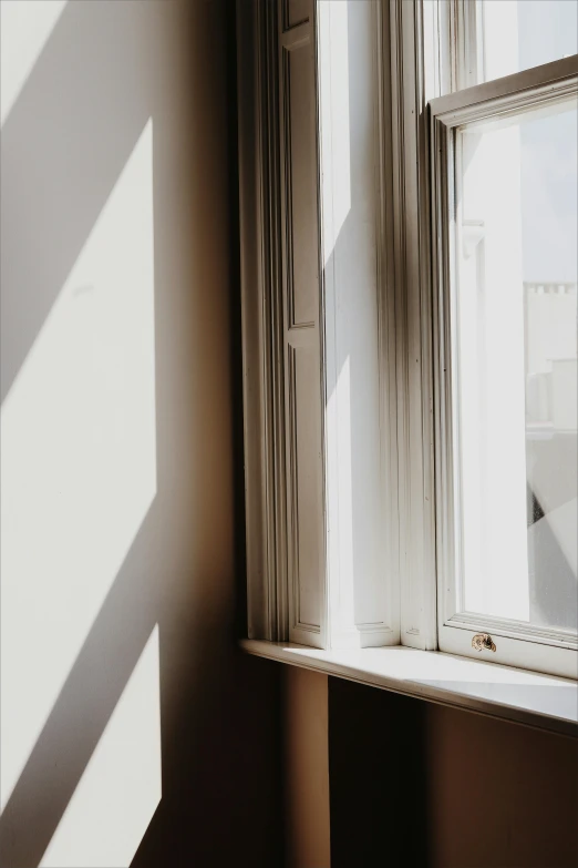 a cat sitting on top of a window sill, unsplash, light and space, light academia aesthetic, french door window, sun shafts, soft light - n 9