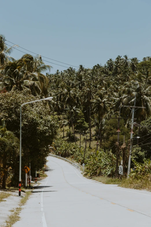 a man riding a motorcycle down the middle of a road, pexels contest winner, sumatraism, tropical trees, panorama view, philippines, summer street near a beach