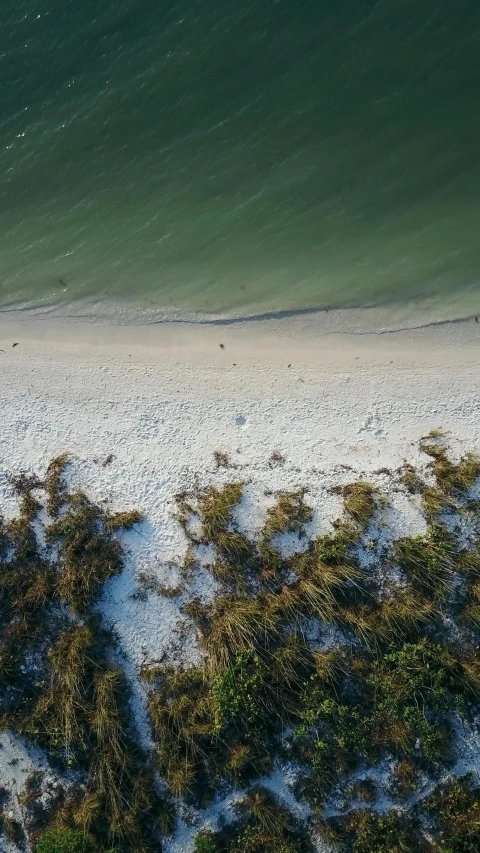 a person riding a surfboard on top of a wave, bird view, at a beach, salt dunes, calmly conversing 8k