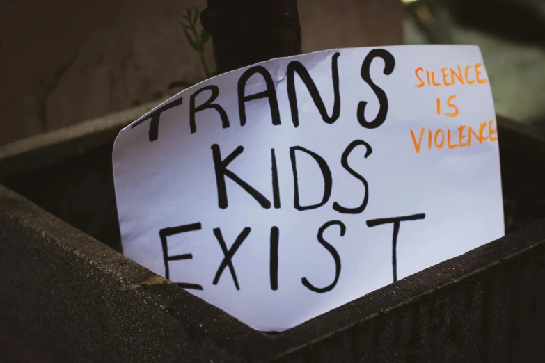 a close up of a sign in a planter, trending on pexels, transgressive art, trans rights, kids, violence, protesters holding placards