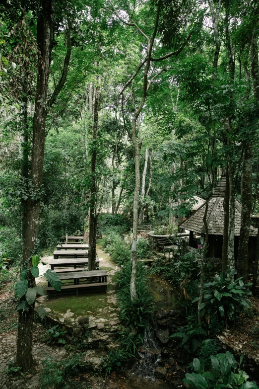 a group of benches sitting in the middle of a forest, lush jungle, roofed forest, tamborine, al fresco