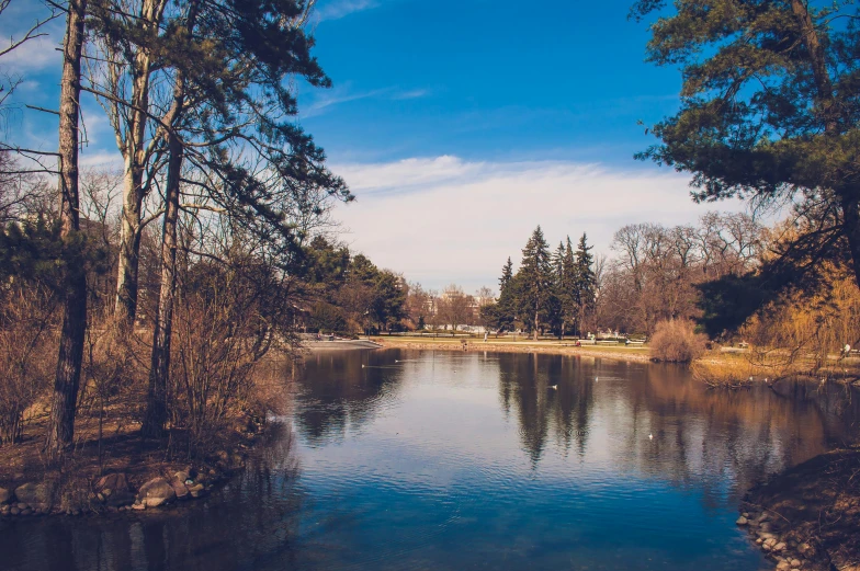 a body of water surrounded by trees on a sunny day, by Adam Szentpétery, pexels contest winner, with a park in the back ground, villany, retro vibe, today\'s featured photograph 4k