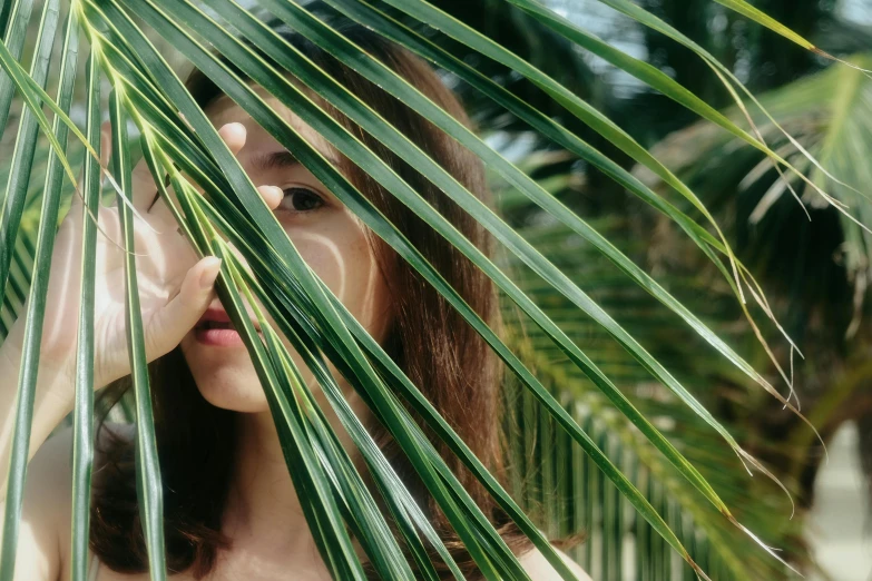 a woman peeking through the leaves of a palm tree, inspired by Elsa Bleda, trending on pexels, kiko mizuhara, made of bamboo, slightly tanned, girl with dark brown hair