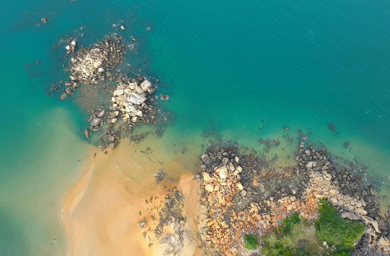 an aerial view of a beach and a body of water, by Lee Loughridge, pexels contest winner, circuitry. 8k 3d geology, rocky beach, sri lankan landscape, great barrier reef