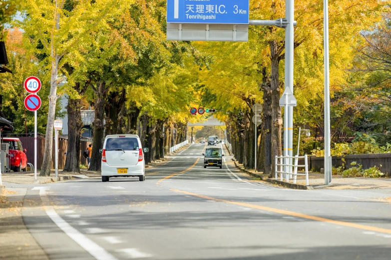 a white van driving down a street next to trees, shin hanga, during autumn, road street signs, jr sc maglev, 🚿🗝📝