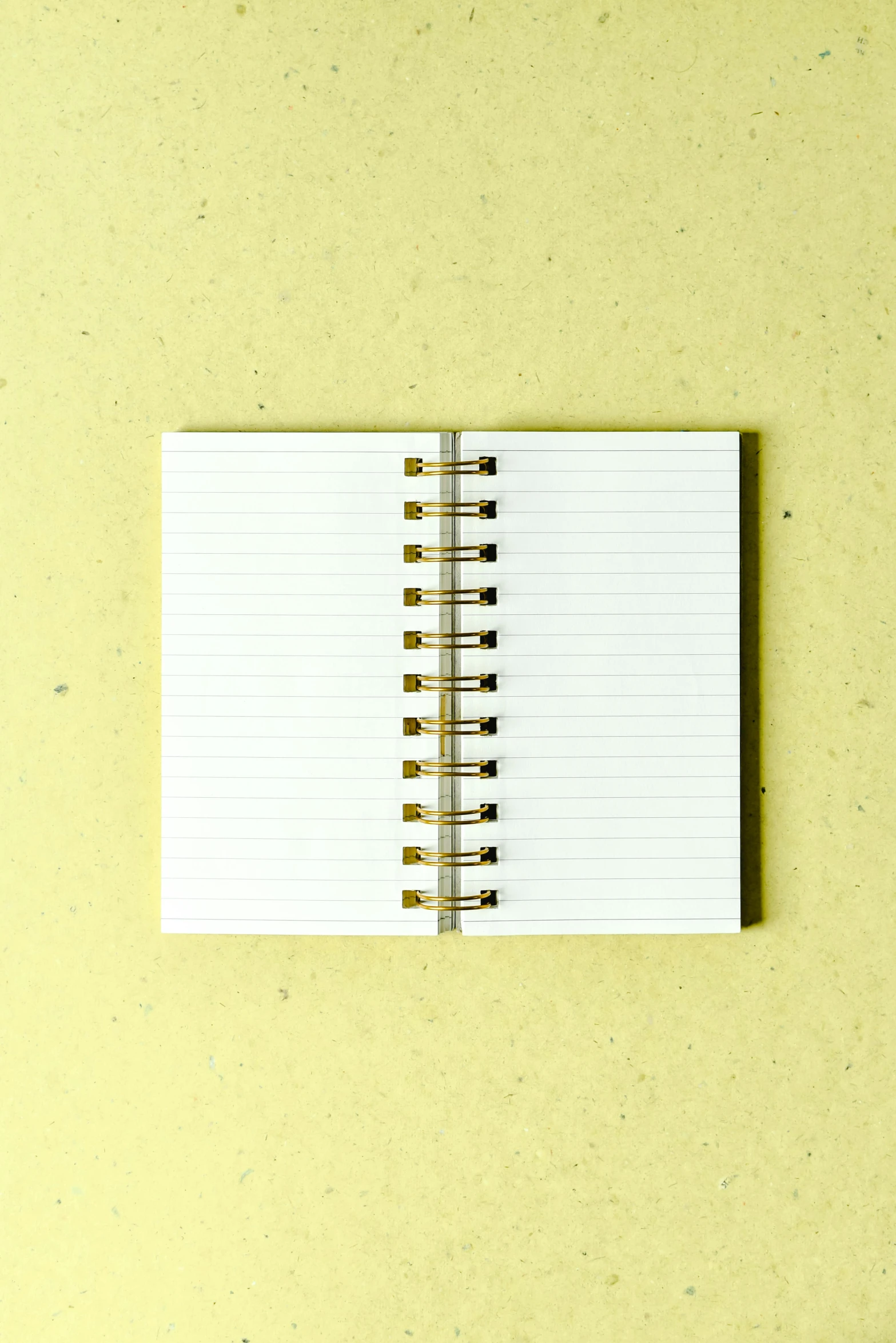 an open notebook sitting on top of a table, private press, white: 0.5, mini, lines, - 6