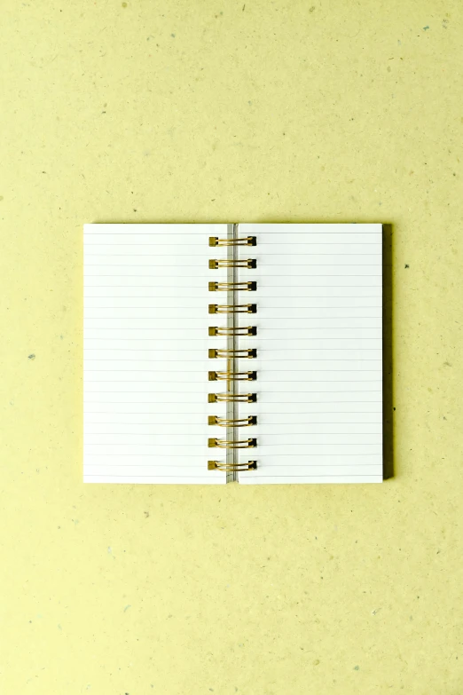 an open notebook sitting on top of a table, private press, white: 0.5, mini, lines, - 6