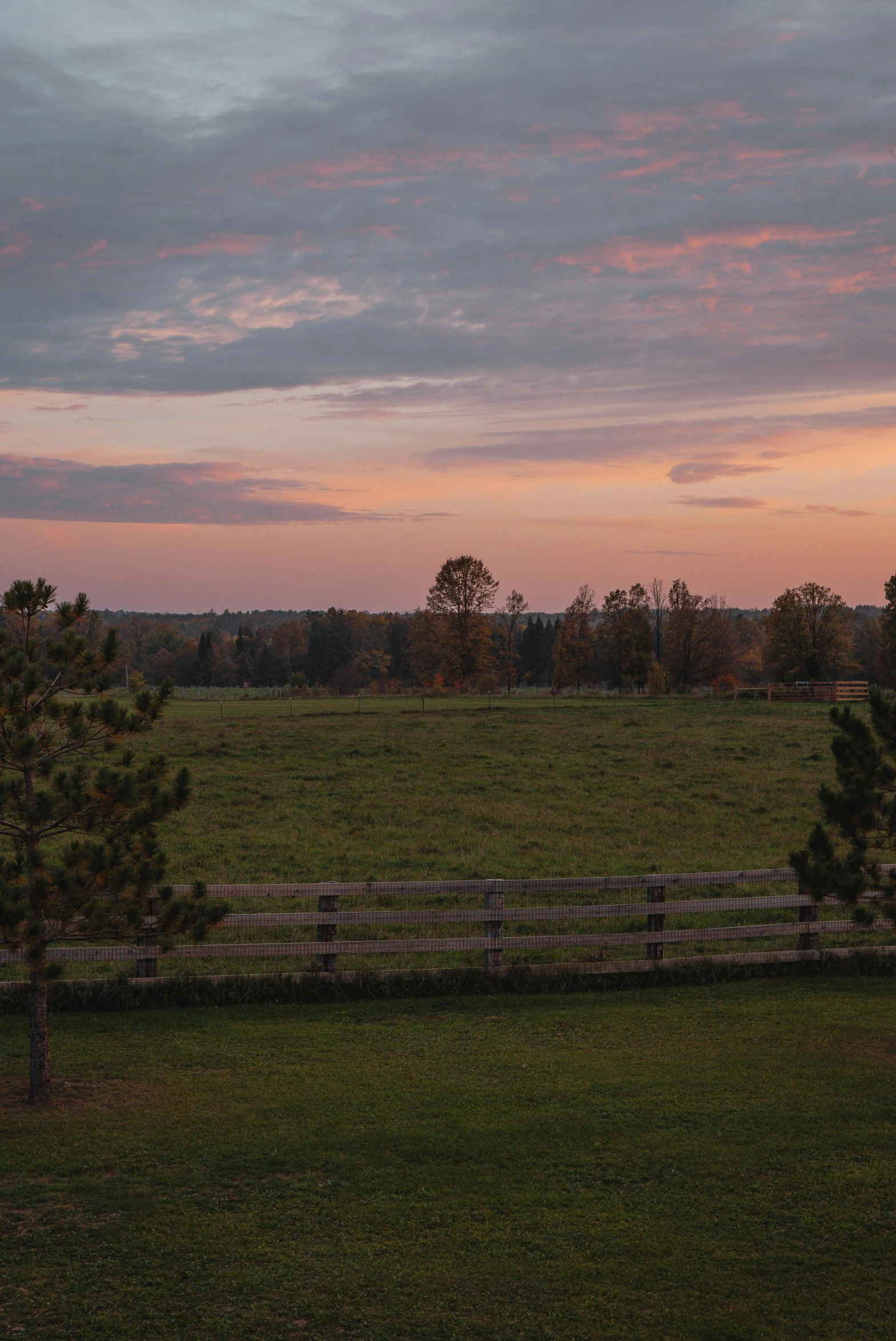 a field with trees and a fence at sunset, lush farm lands, the see horse valley, muted fall colors, skies