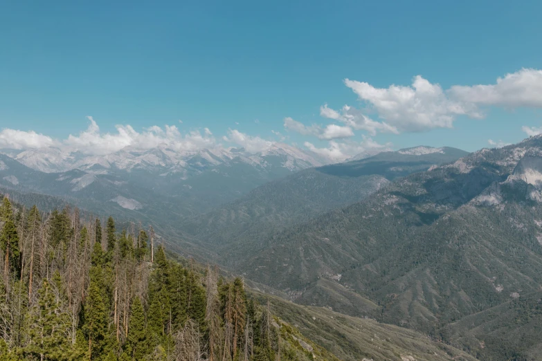 a view of the mountains from the top of a mountain, by Ryan Pancoast, unsplash contest winner, photorealism, giant sequoia, wide panoramic shot, sparsely populated, sunny day time