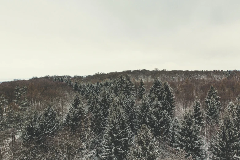 a man riding a snowboard down a snow covered slope, a photo, inspired by Elsa Bleda, pexels contest winner, tonalism, lush evergreen forest, overcast gray skies, midwest countryside, (3 are winter