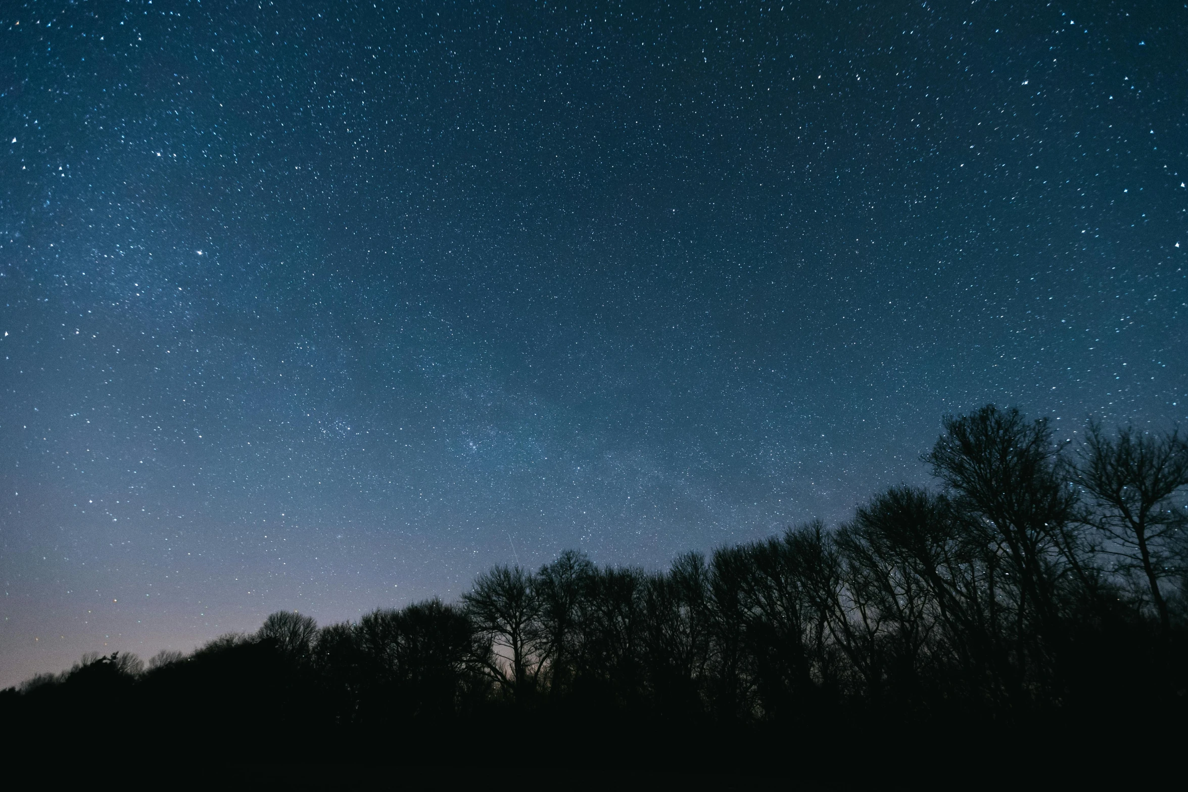 a night sky filled with lots of stars, pexels contest winner, trees and stars background, asteroid belt in distance, high quality photo, photograph of april