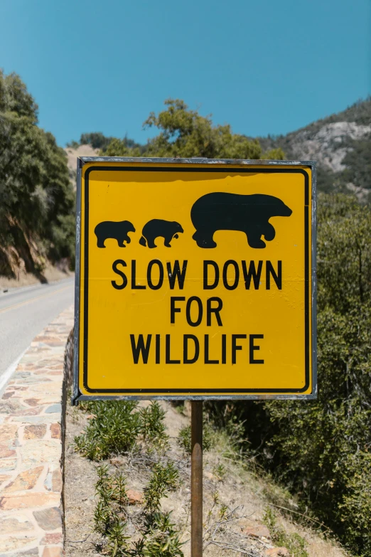 a slow down for wildlife sign on the side of a road, by Pamela Drew, trending on unsplash, california, three animals, 🚿🗝📝