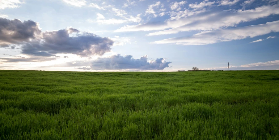 a field of green grass under a cloudy sky, unsplash, land art, evening light, large scale photo