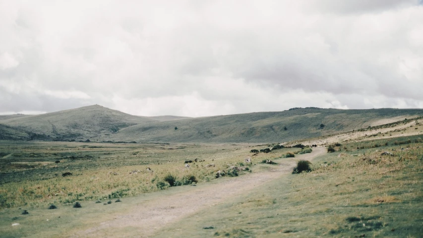 a dirt road running through a lush green field, by Pablo Rey, unsplash, les nabis, llama, gray skies, background image, on a hill