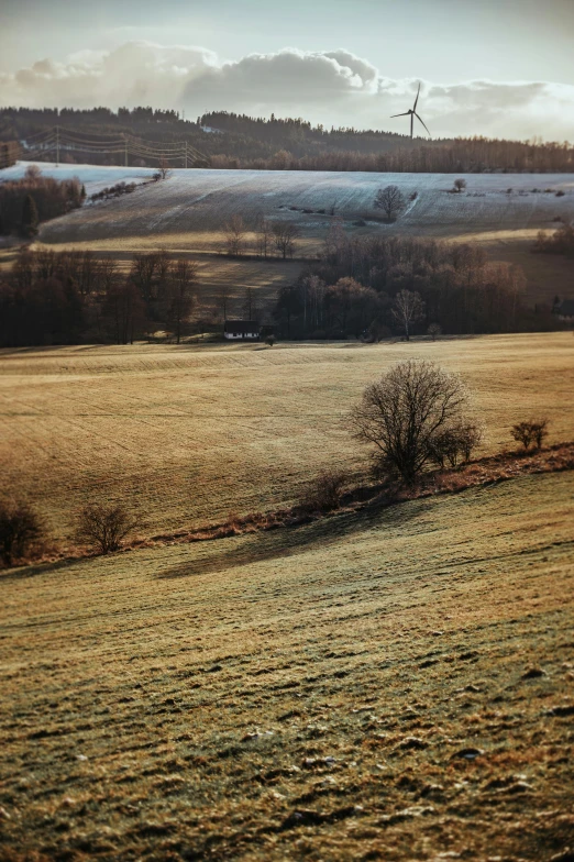 a couple of cows standing on top of a lush green field, pexels contest winner, tonalism, snowy hill at sunrise, brown stubble, panoramic, next to farm fields and trees