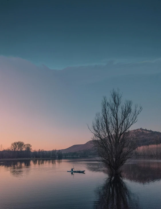 a lone tree sitting in the middle of a lake, by Slava Raškaj, unsplash contest winner, romanticism, soft evening lighting, river and trees and hills, paddle of water, looking towards camera