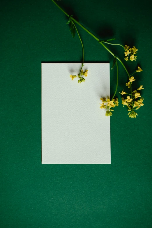 a piece of paper sitting on top of a green surface, flowers and plants, very aesthetically pleasing, white panels, yellow backdrop