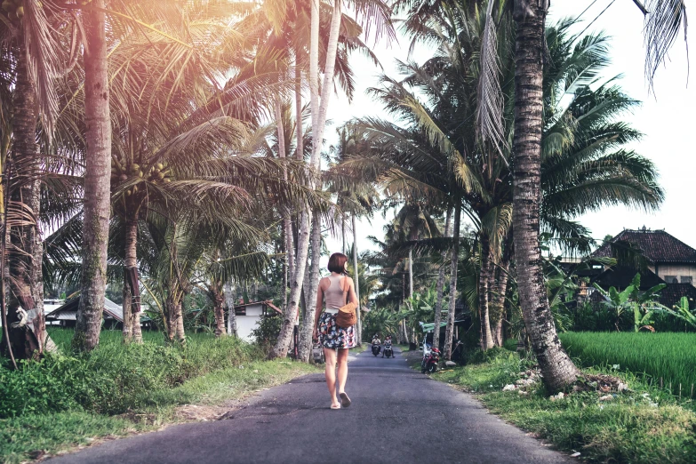 a woman walking down a road surrounded by palm trees, bali, instagram photo, background image