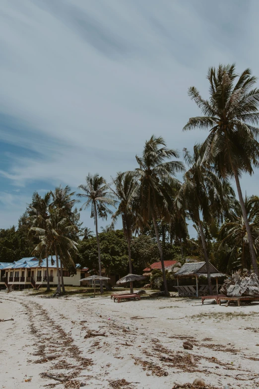 a sandy beach with palm trees in the background, makeshift houses, malaysian, flatlay, al fresco