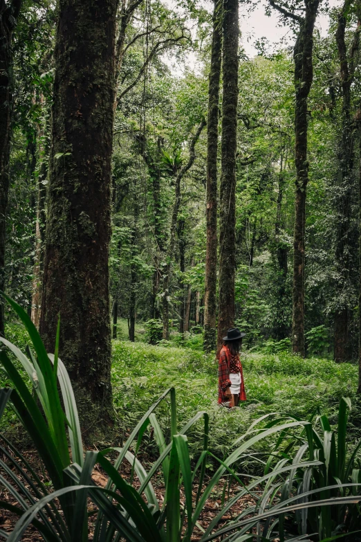 a person standing in the middle of a forest, inspired by Steve McCurry, sumatraism, tamborine, green spaces, red robes, sri lanka