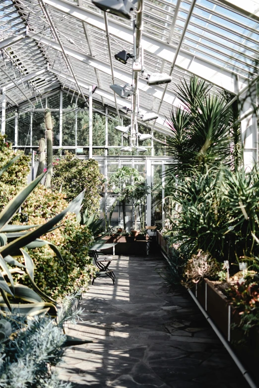 a greenhouse filled with lots of potted plants, by Maria van Oosterwijk, trending on unsplash, modernism, long view, wide high angle view, airy landscape, bromeliads