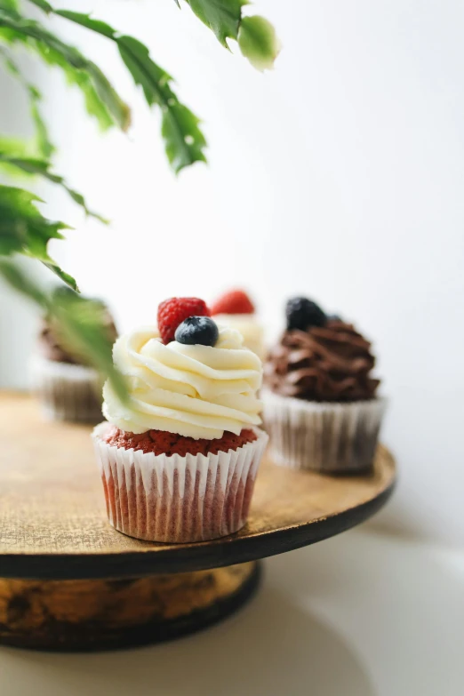 a couple of cupcakes sitting on top of a wooden plate, ivy's, red white and black, on a white table, bakery