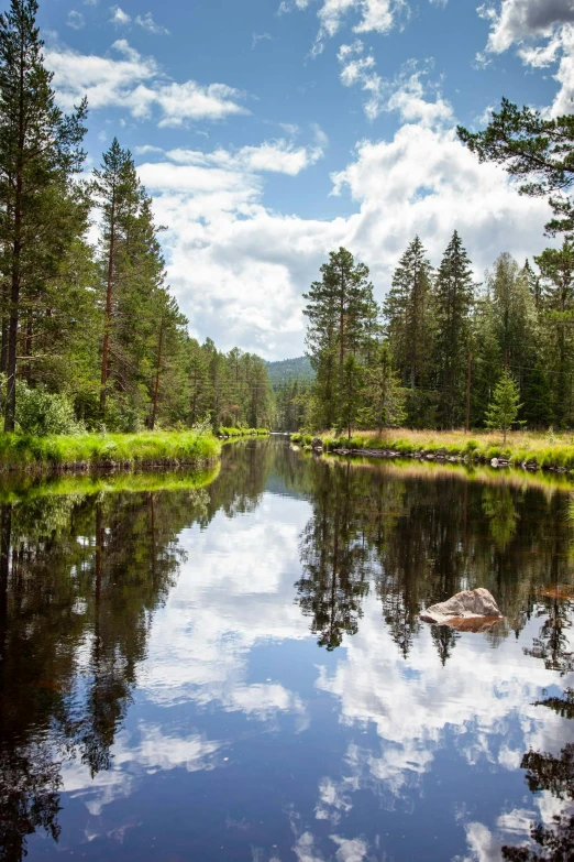 a river running through a forest filled with trees, minna sundberg, mirror lake, pine forests, sitting down