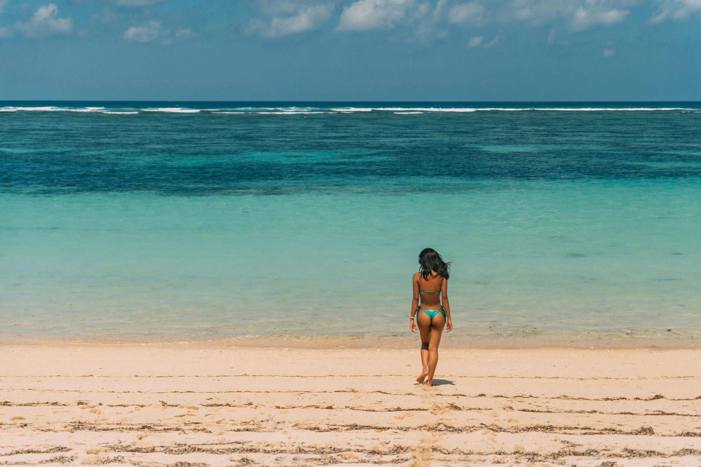 a woman in a bikini walking on a beach, pexels contest winner, turquoise ocean, bali, imaan hammam, back