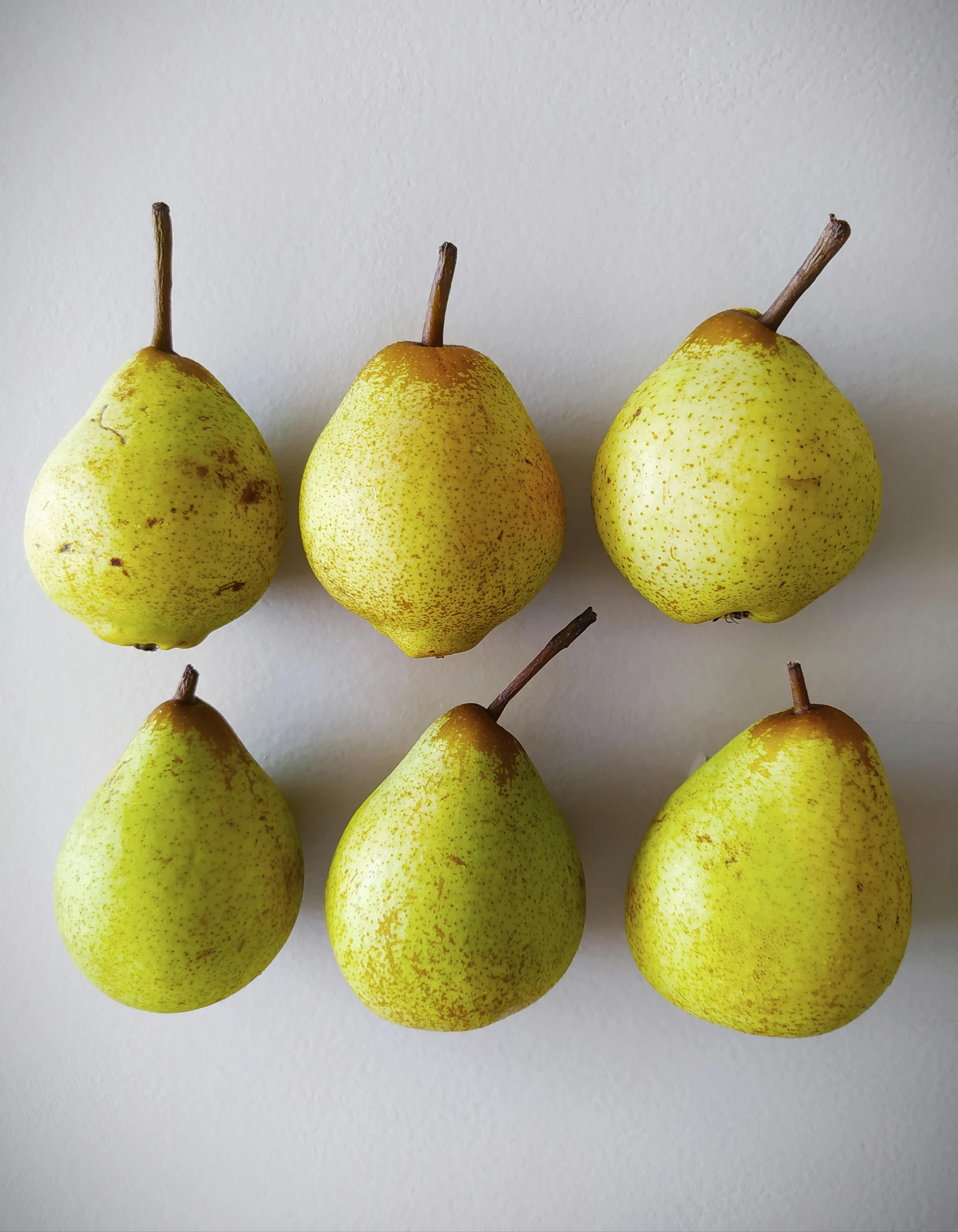 a group of pears sitting on top of a white surface, product image, six pack, press shot, botanical herbarium paper