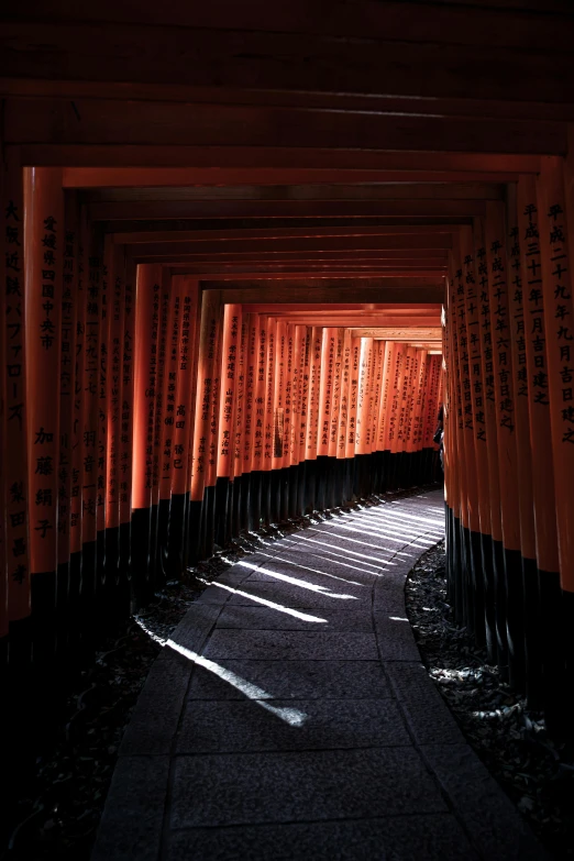 a tunnel of red tori tori tori tori tori tori tori tori tori tori tori tori tori tori, inspired by Torii Kiyomoto, unsplash contest winner, ukiyo-e, light shadows, black and orange, medium - shot, intricate light