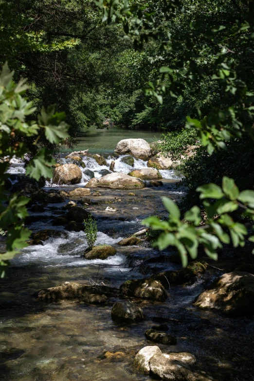 a stream running through a lush green forest, les nabis, river rapids, surrounding the city, fishing, 2019 trending photo