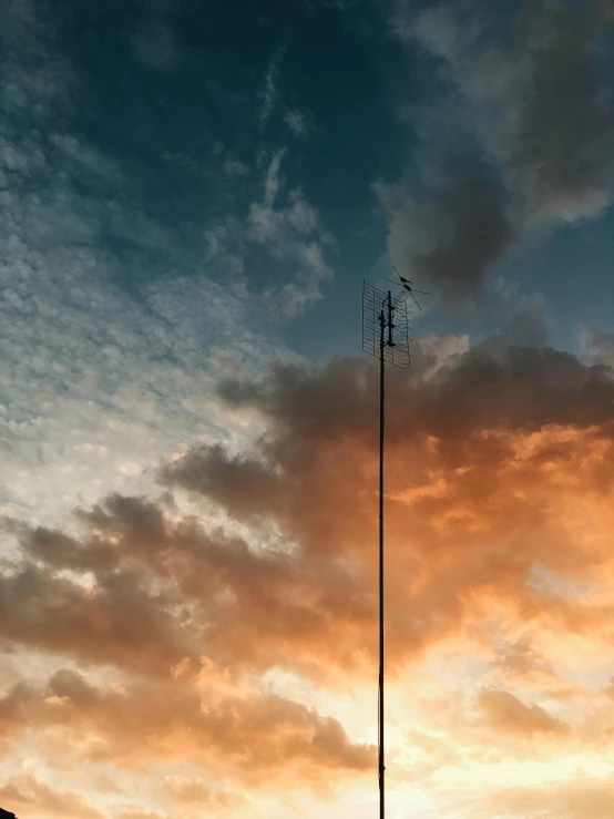 a tall tower sitting on top of a lush green field, by Jan Tengnagel, unsplash, postminimalism, vibrant sunset dramatic sky, antenna, professional iphone photo, ilustration