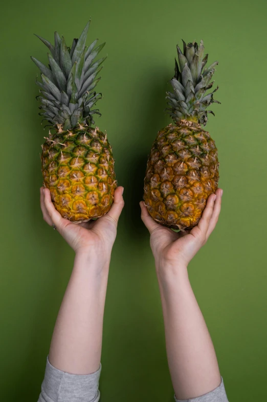 a person holding two pineapples in their hands, still life photo of a backdrop, highly upvoted, multiple stories, background image