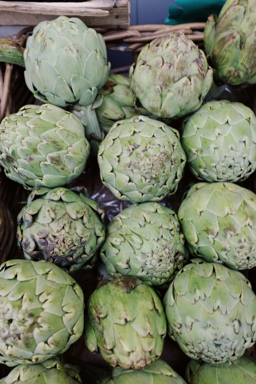 a close up of a basket of artichokes, 6 pack, pale green glow, large crown, most popular