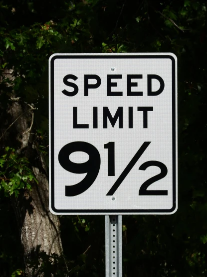 a speed limit sign in front of a tree, by Tony Szczudlo, 9 9 designs, high quality image, in louisiana, closeup photograph