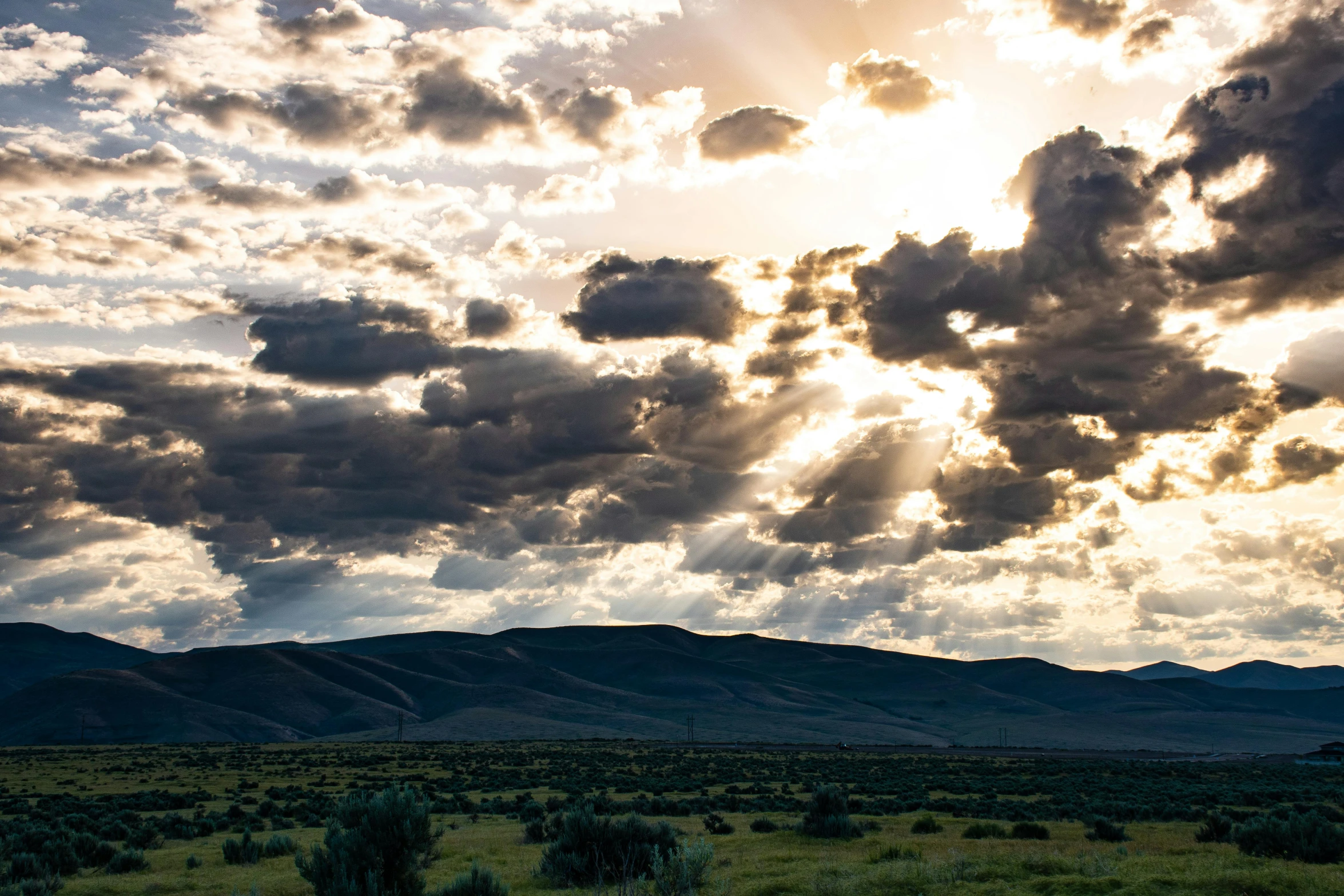 a herd of cattle standing on top of a lush green field, by Joe Stefanelli, unsplash contest winner, beautiful new mexico sunset, sunrays between clouds, idaho, panorama view of the sky